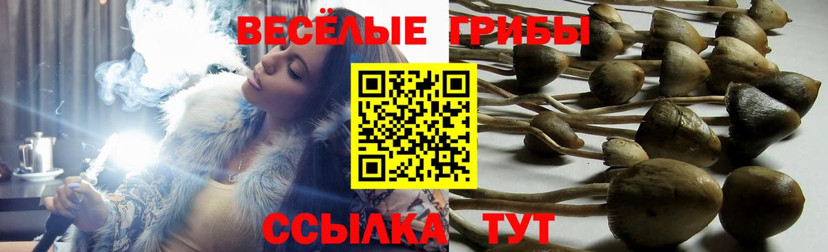 Галлюциногенные грибы мицелий Ялуторовск